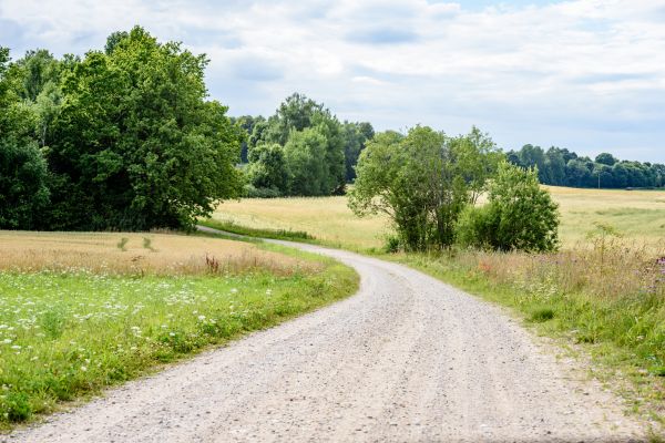 Cost of Stone Driveway Repair in Royal Oak