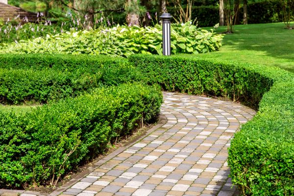 Paved Landscaping in Royal Oak