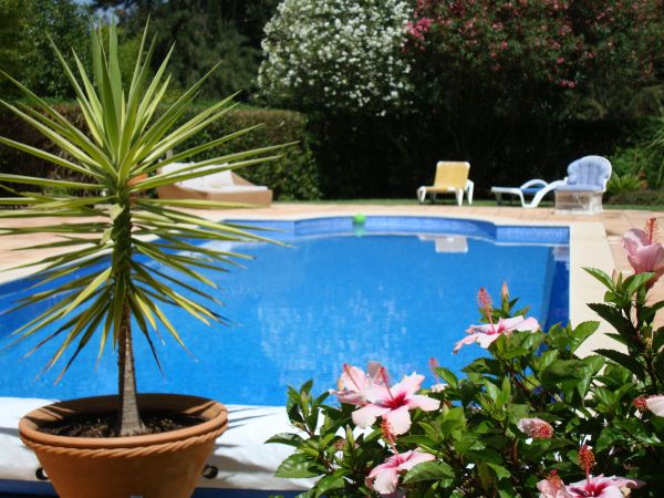 Pool Terrace Renovation in Royal Oak