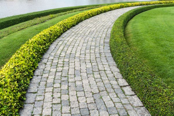 Sidewalk Pavers Installation in Royal Oak