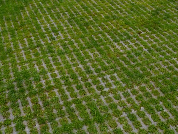 Permeable Pavement Service in Royal Oak