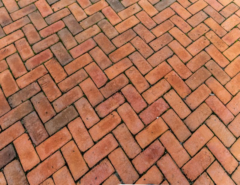 Elegant Paver Design